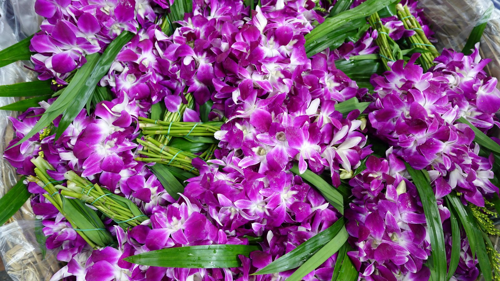 Marché aux fleurs de Pak Khlong Talat à Phra Nakhon, Bangkok, lors d’une expérience culturelle immersive en Thaïlande hors des sentiers battus.
