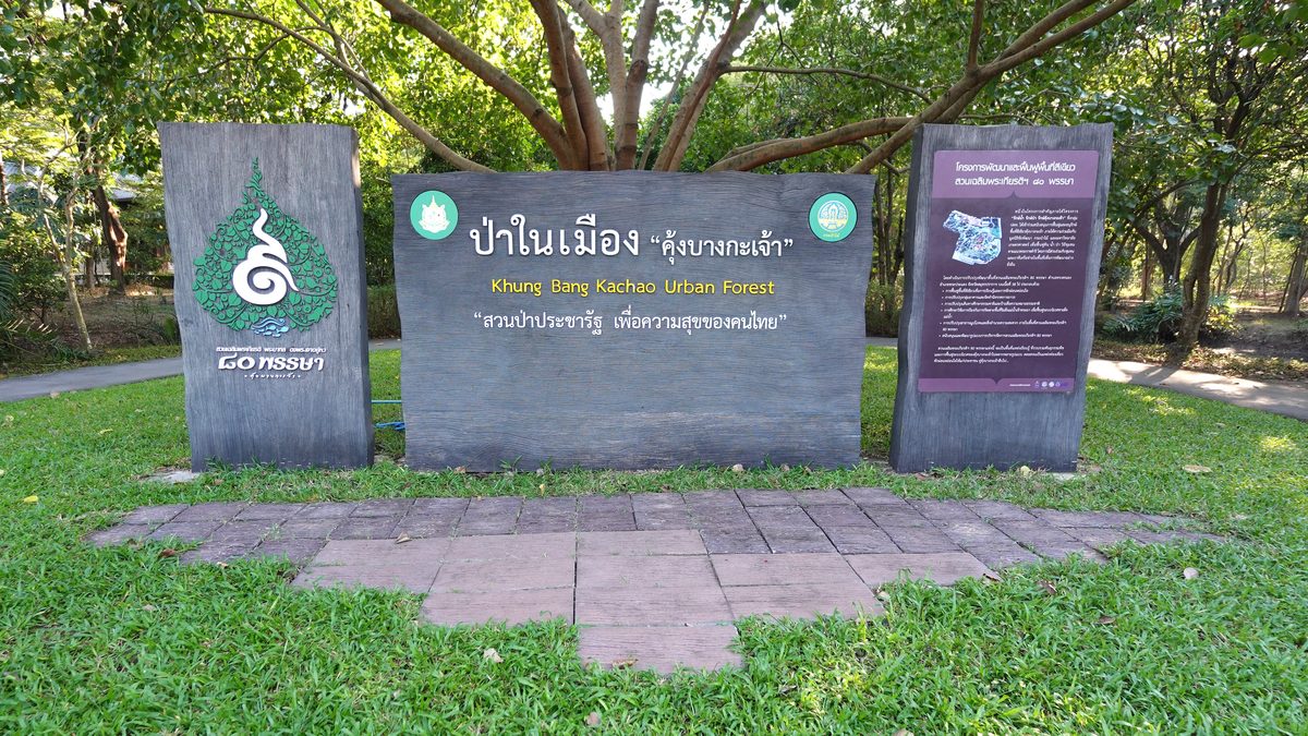 Rock Around Bang Krachao — canaux (khlong) et voies d'eau en visite privée guidée du poumon vert de Bangkok avec Rock Around Siam.